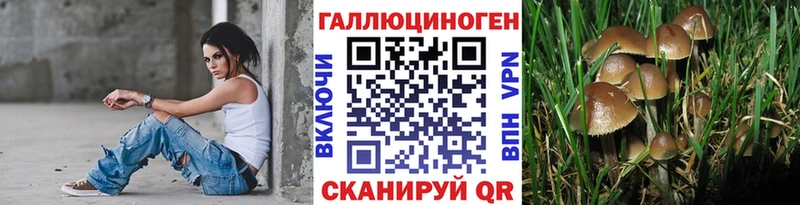 Галлюциногенные грибы Magic Shrooms  купить  цена  Котово 